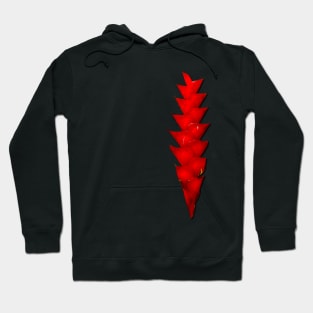 Red Ginger Graphic Hoodie